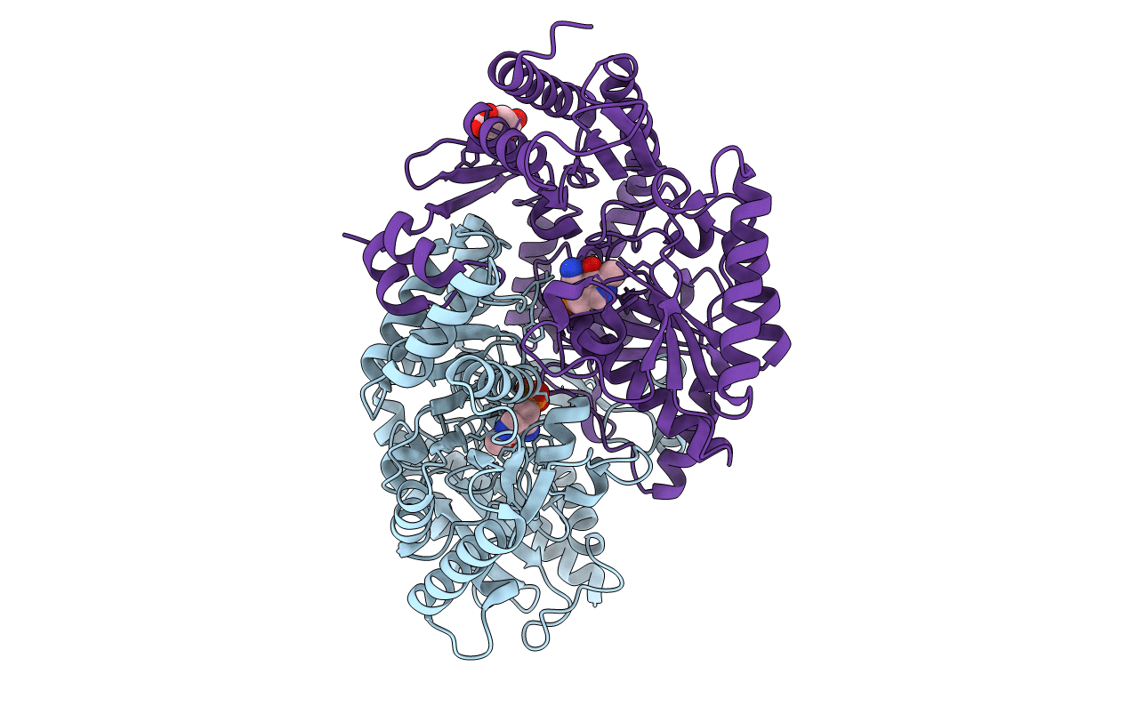 7B4J image