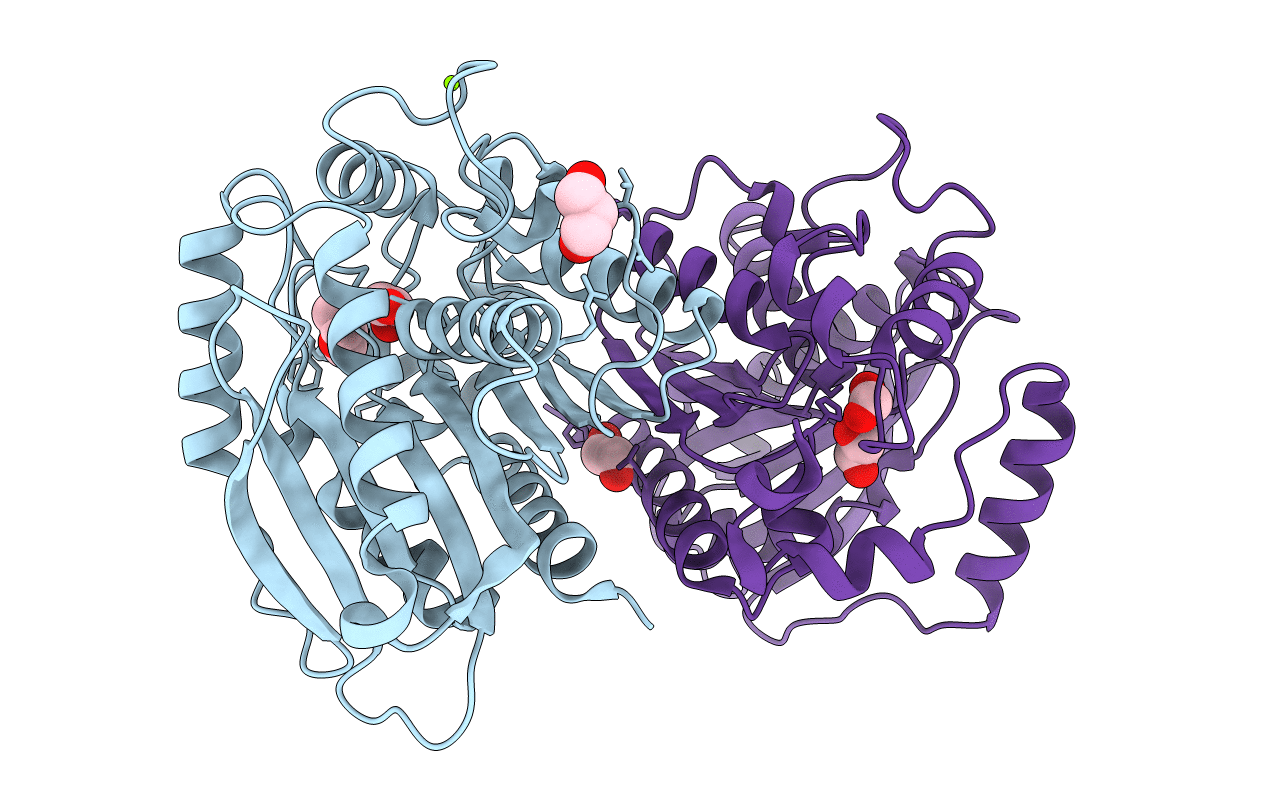 7B4Q image