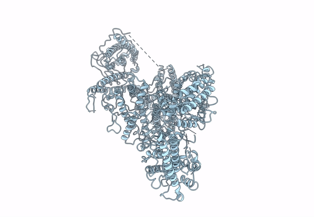 7B52 image