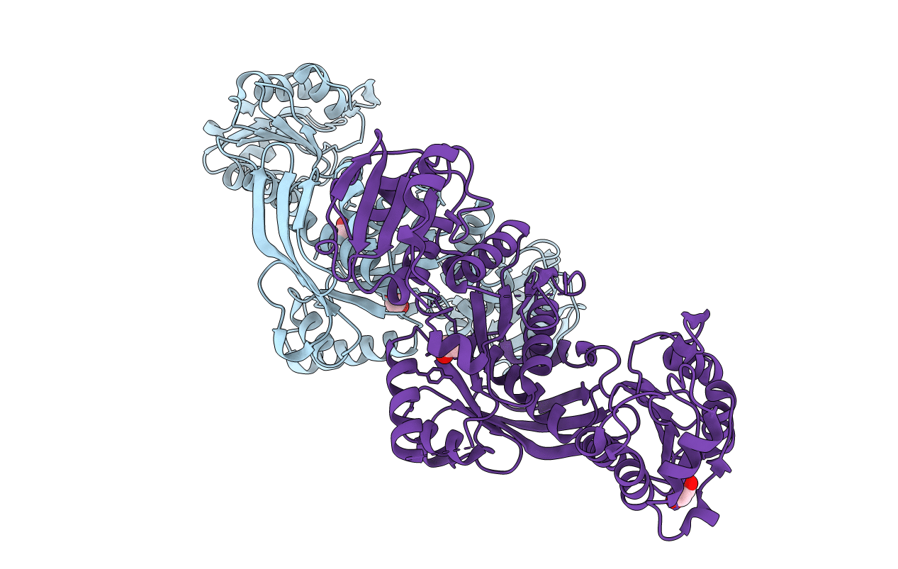 7B53 image