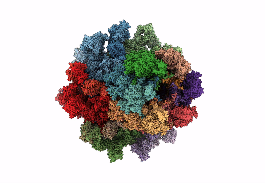 7B5H image