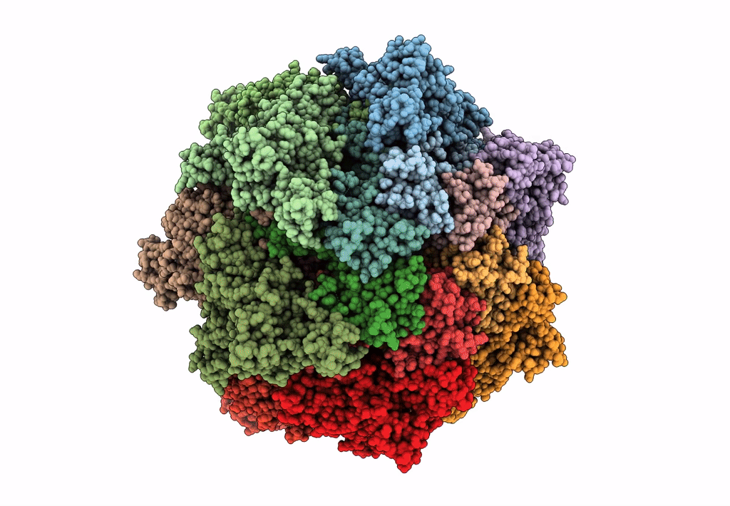7B5I image