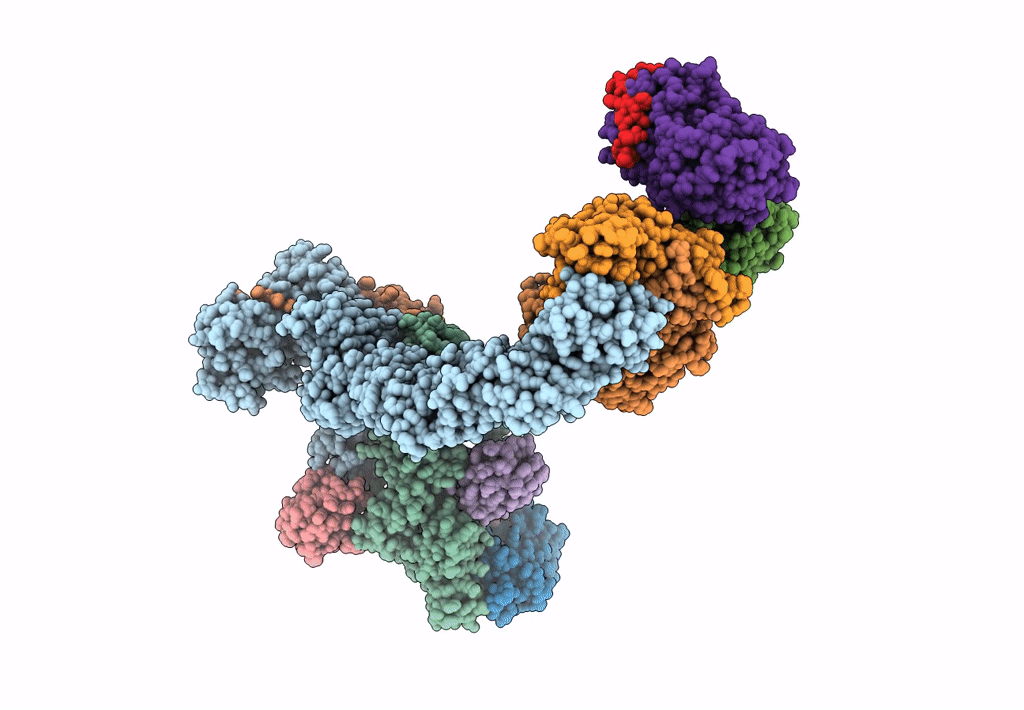 7B5L image