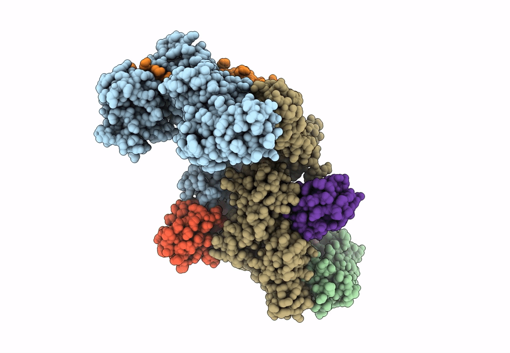 7B5N image