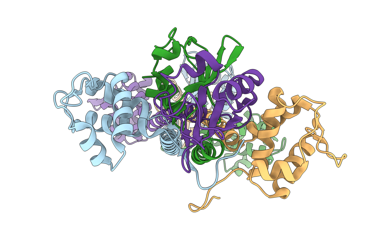 7B5T image