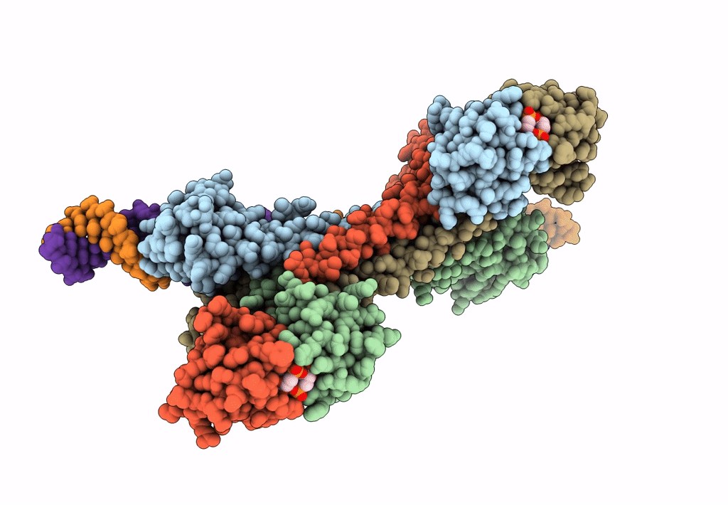 7B5Y image