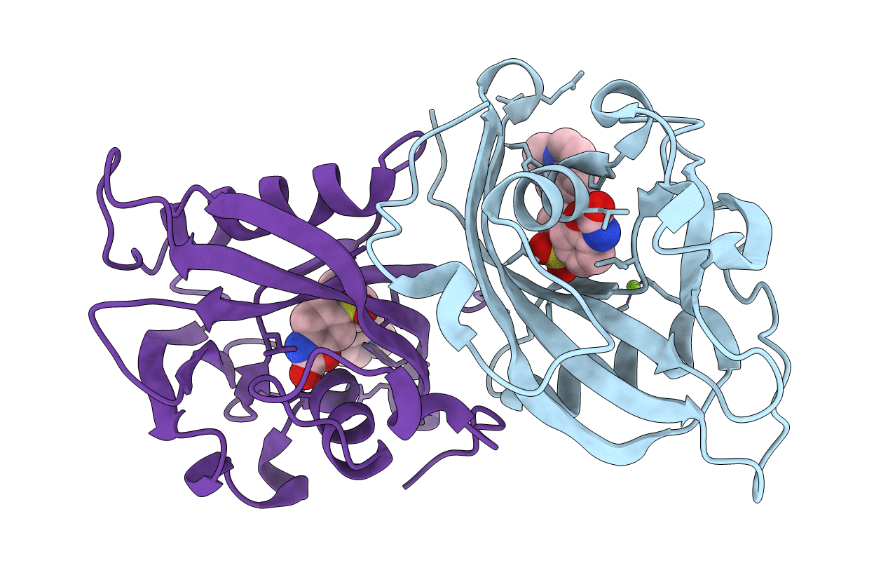 7B63 image