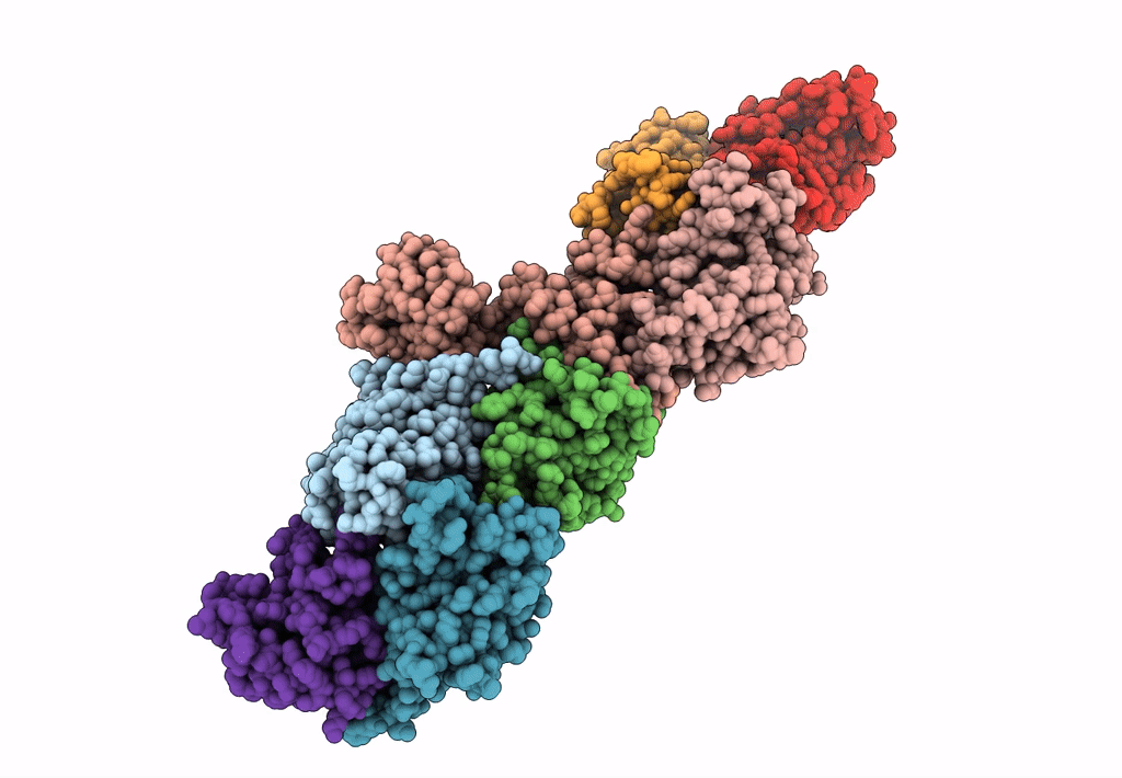 7B6D image
