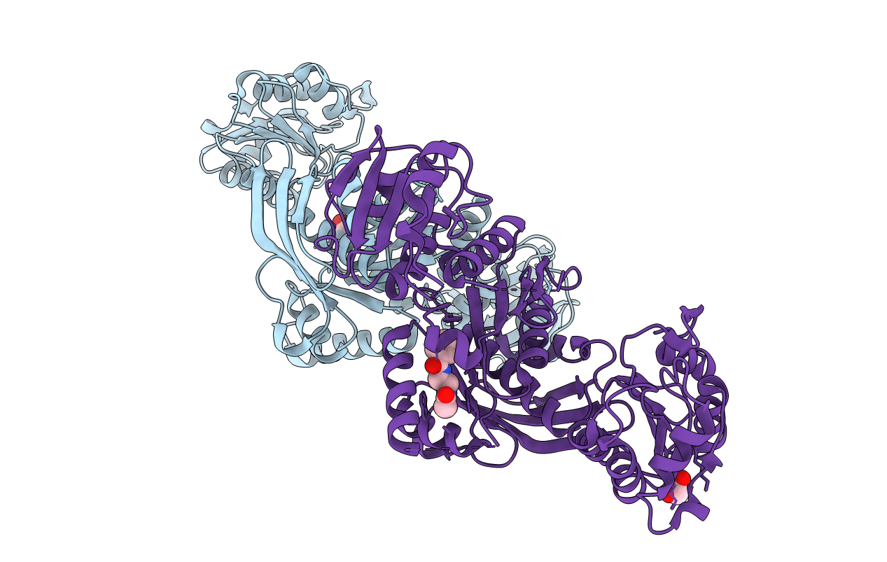 7B6M image