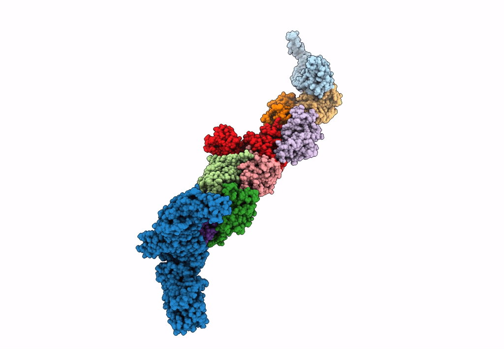 7B6R image