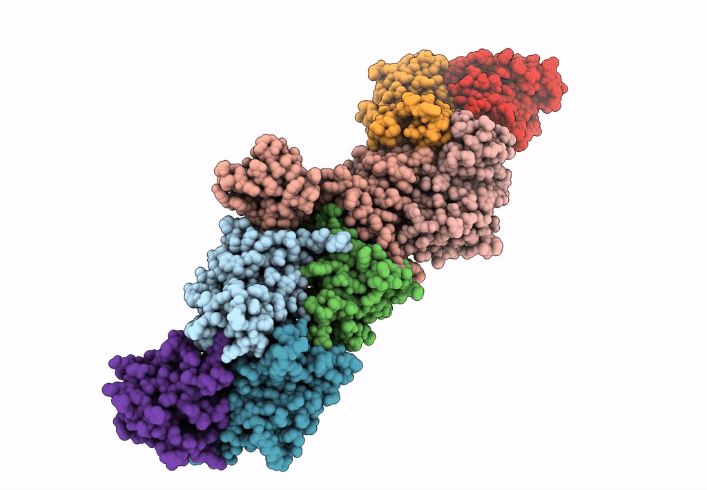 7B6X image