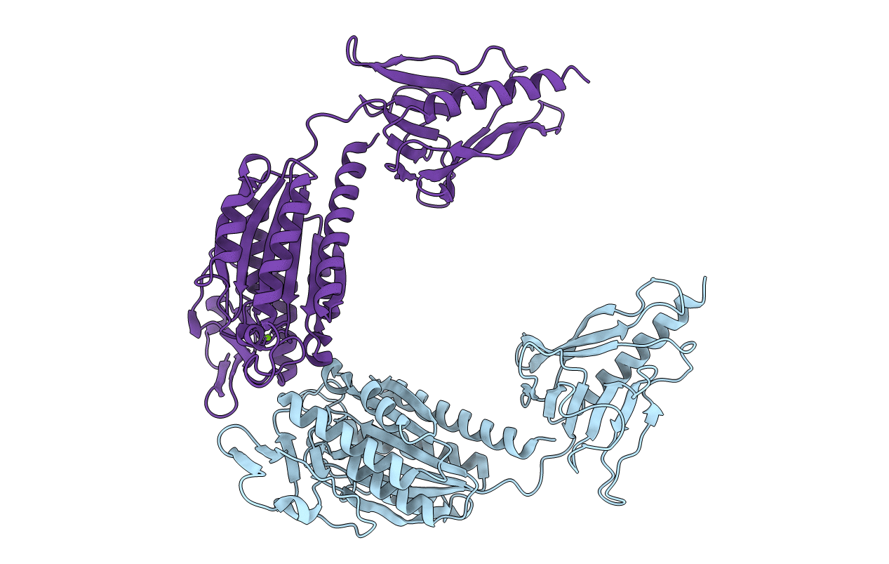 7B7P image