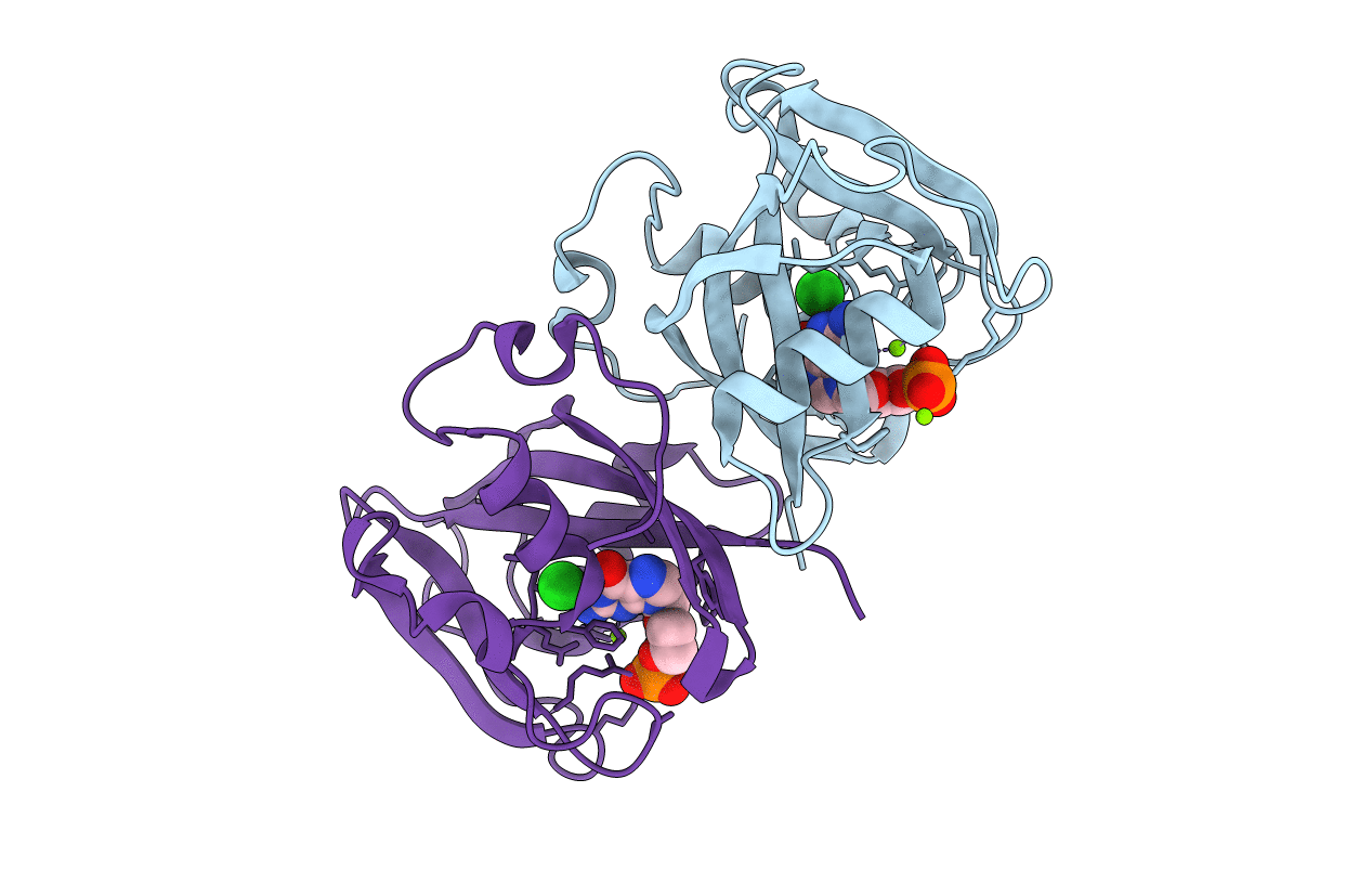 7B7V image