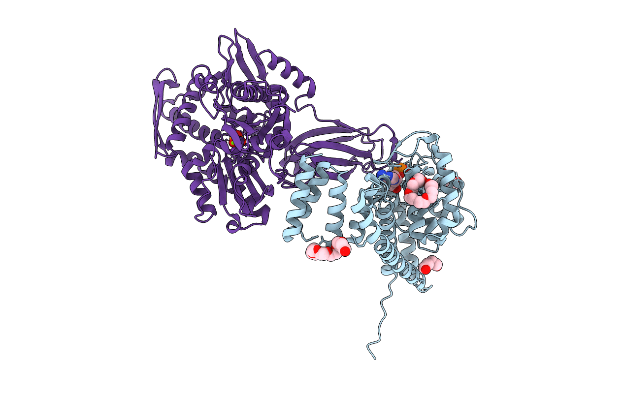 7B80 image
