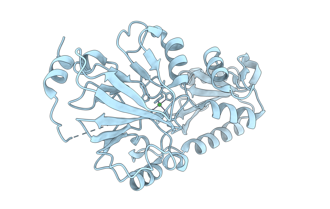 7B9B image