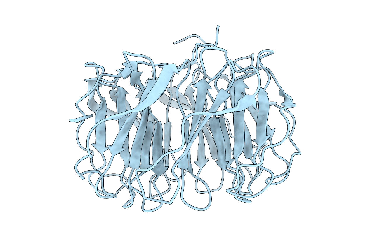 7BBI image