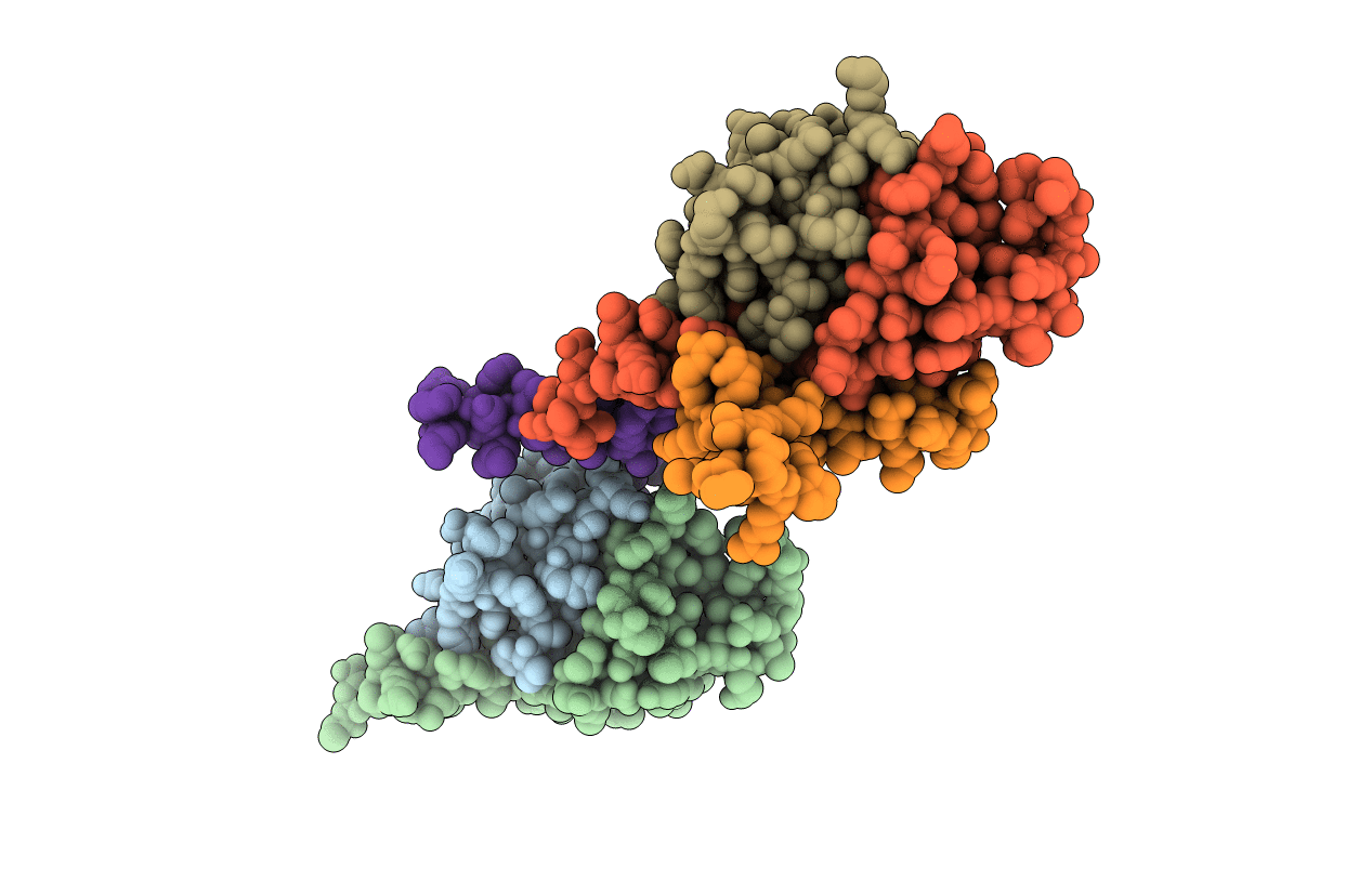 7BBL image