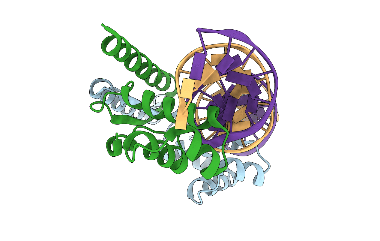 7BCA image
