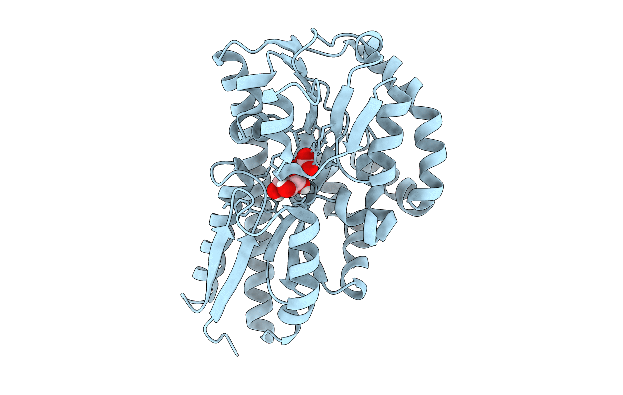 7BCR image