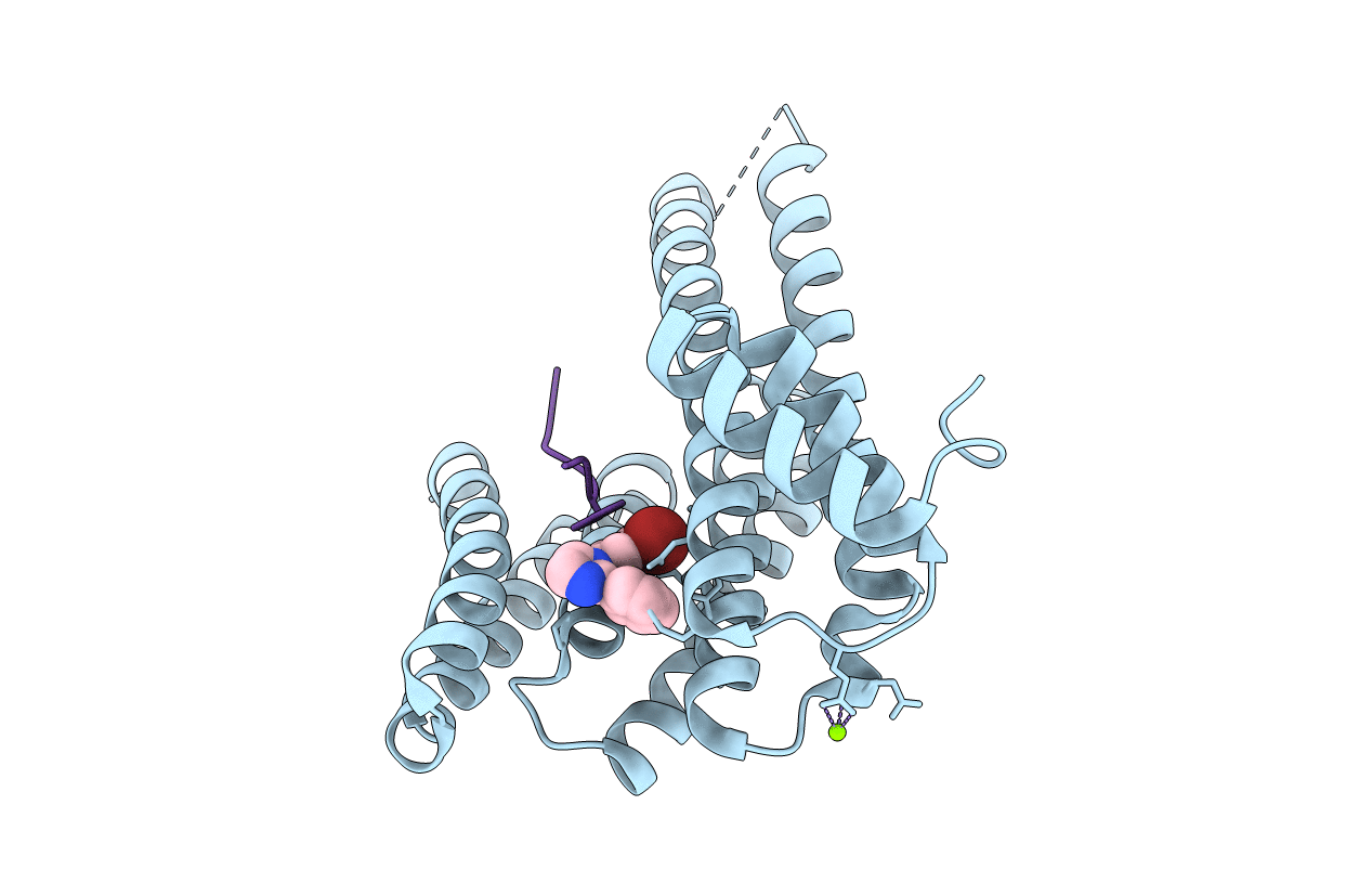 7BDT image