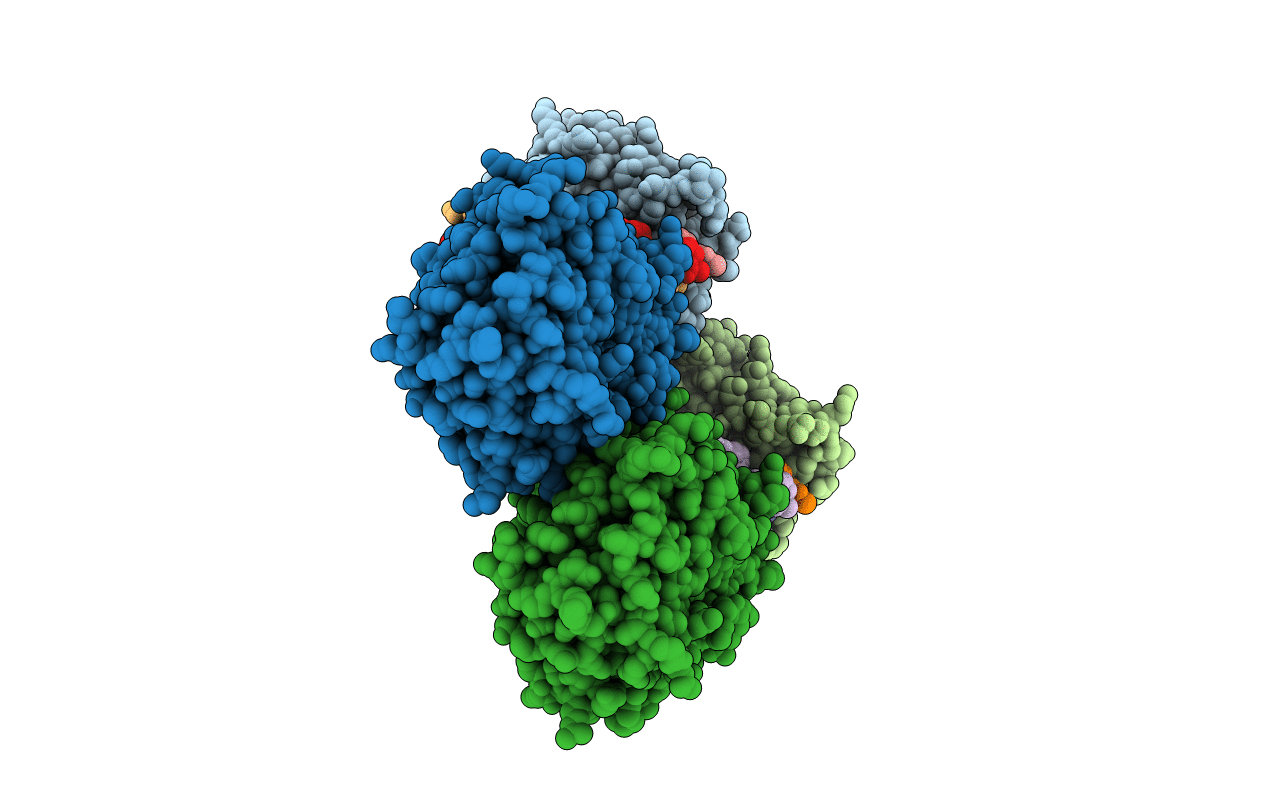 7BFI image