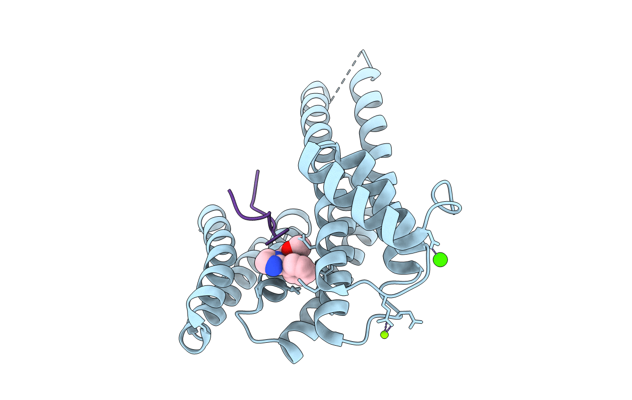 7BGV image