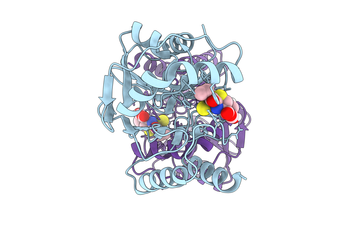 7BJ9 image