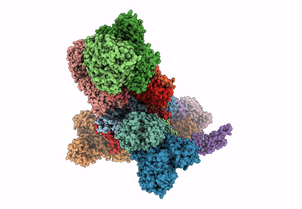 7BKB image