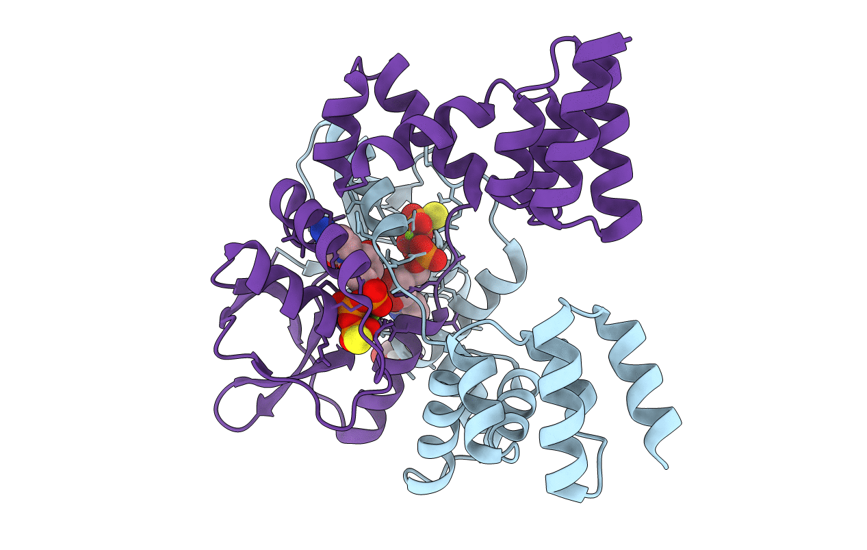 7BNR image