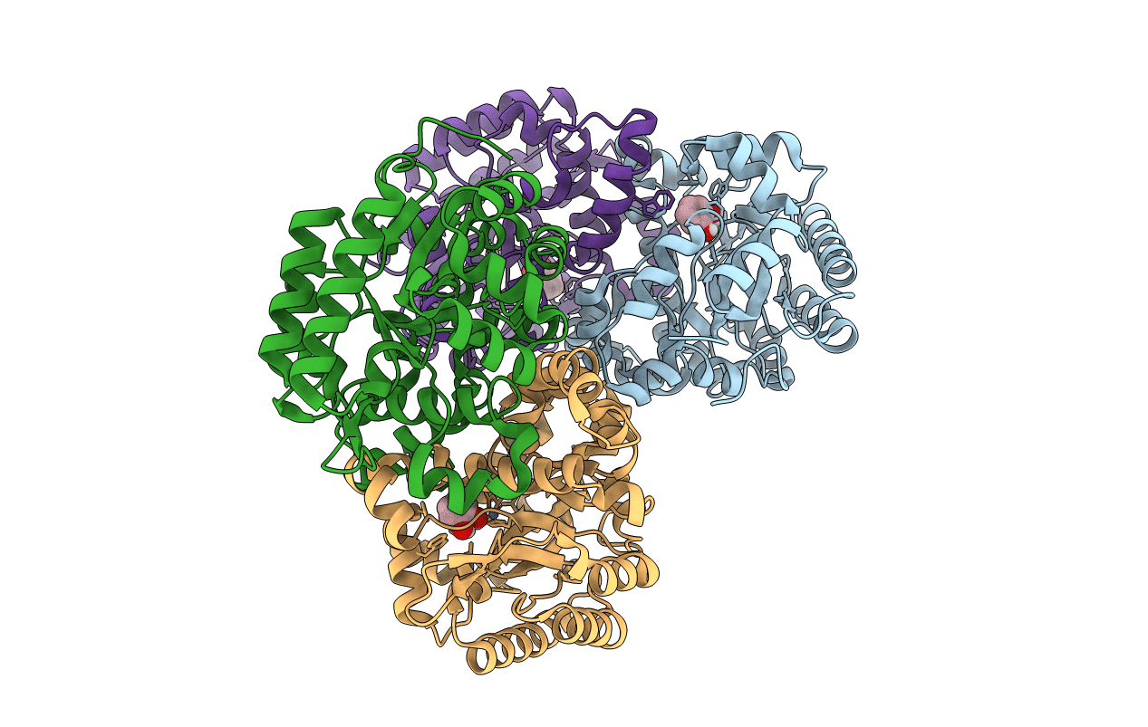 7BP1 image