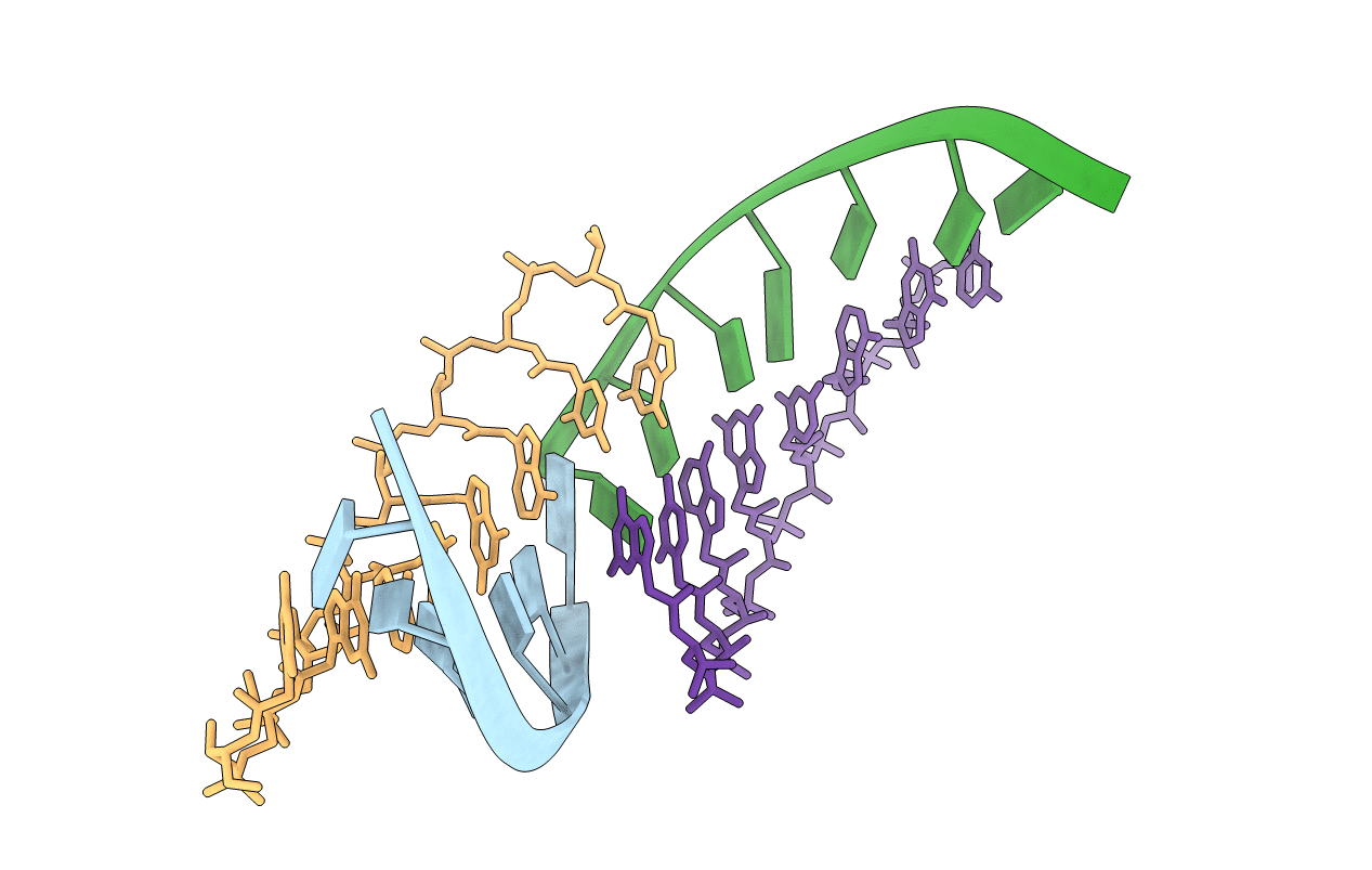 7BPF image