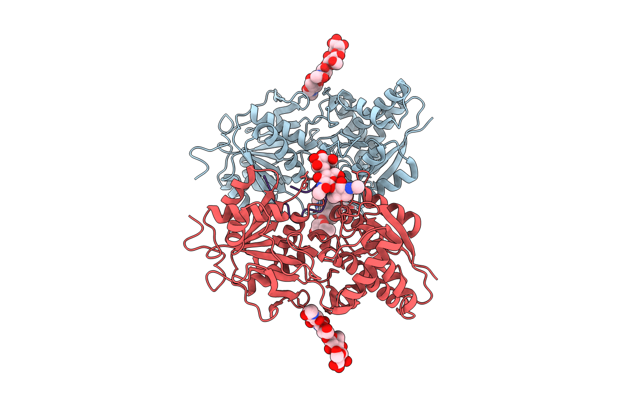 7BRL image