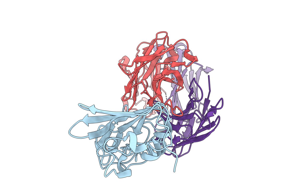 7BSC image
