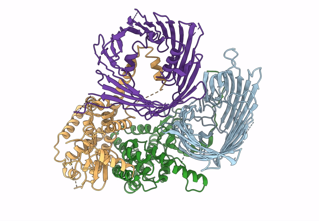 7BTX image
