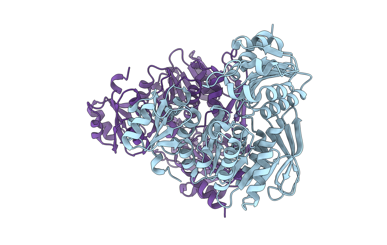 7BVA image
