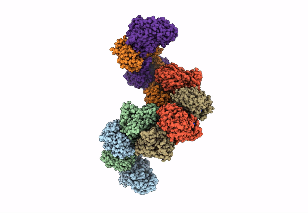 7BVP image