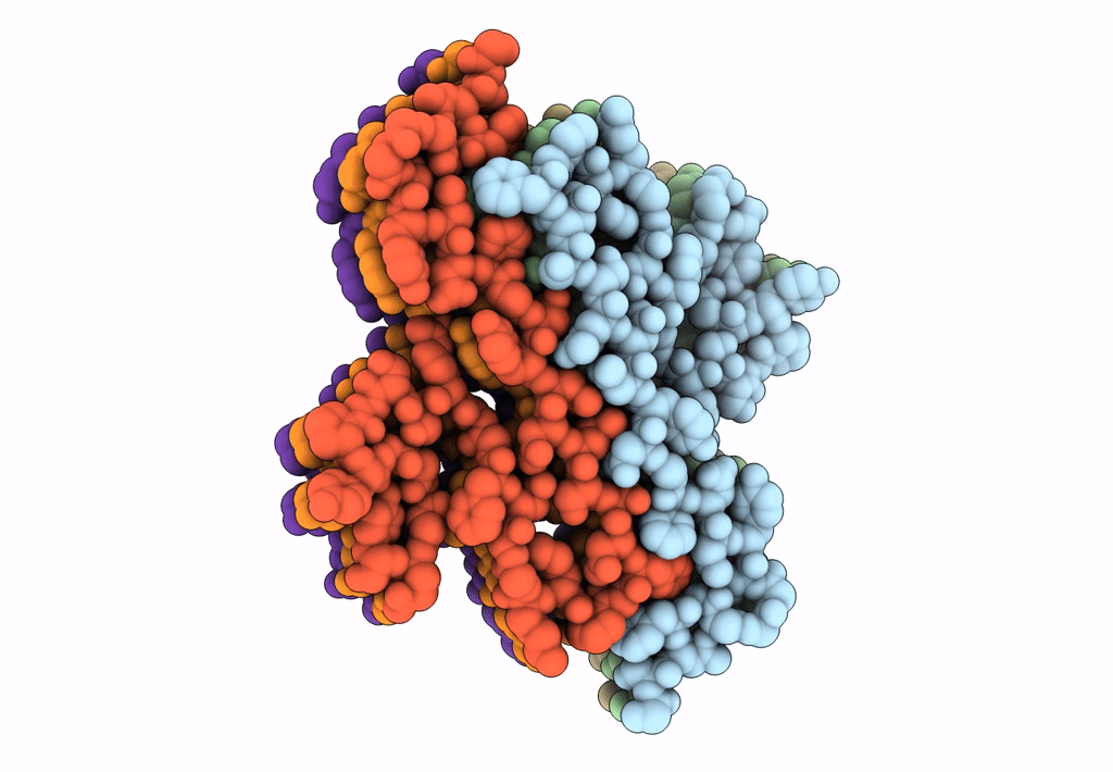 7BX7 image