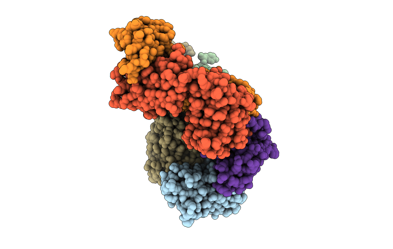 7BXA image