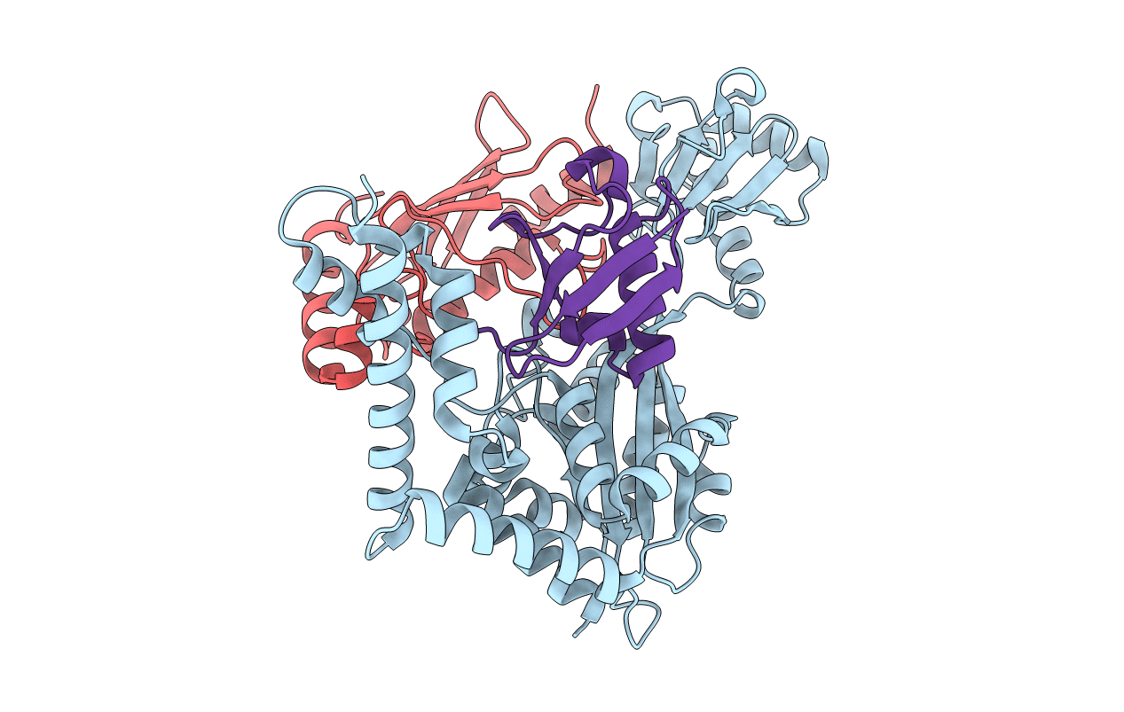 7BXG image