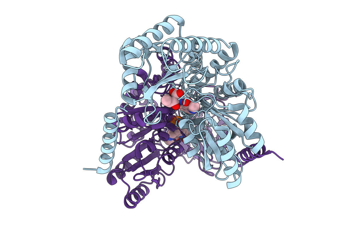 7BXR image