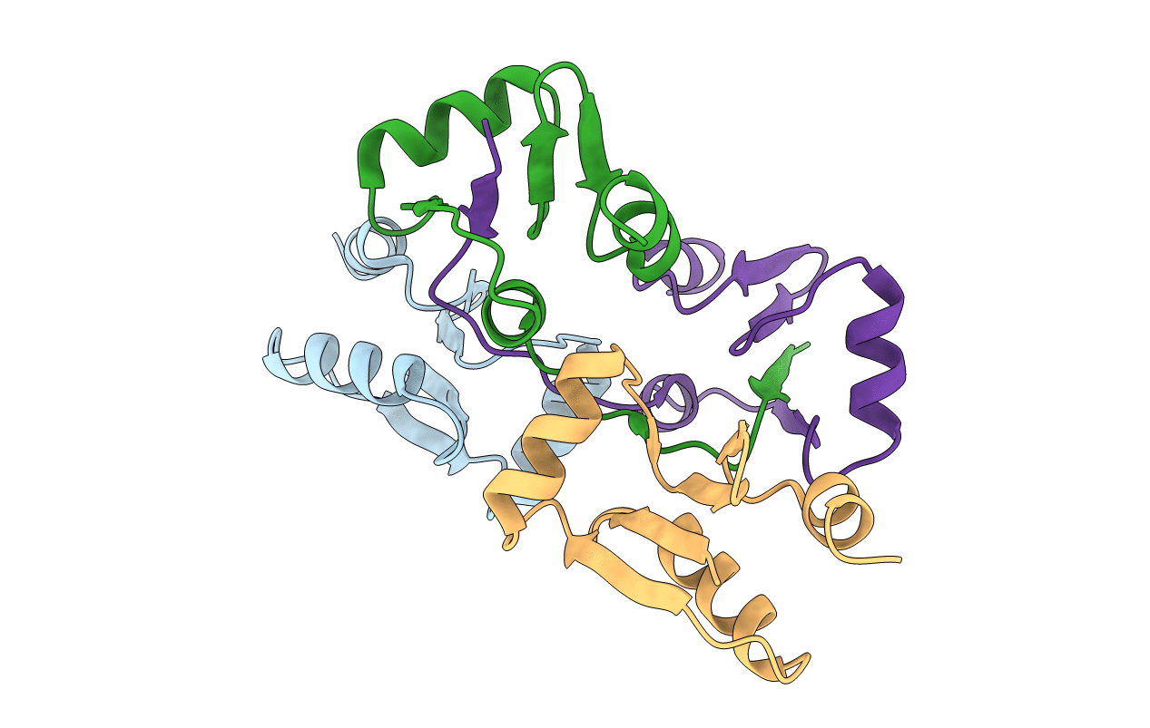 7C12 image