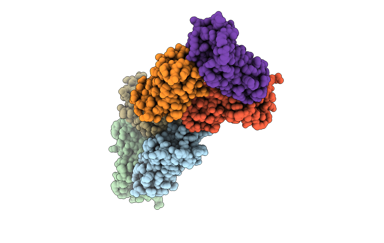 7C1I image