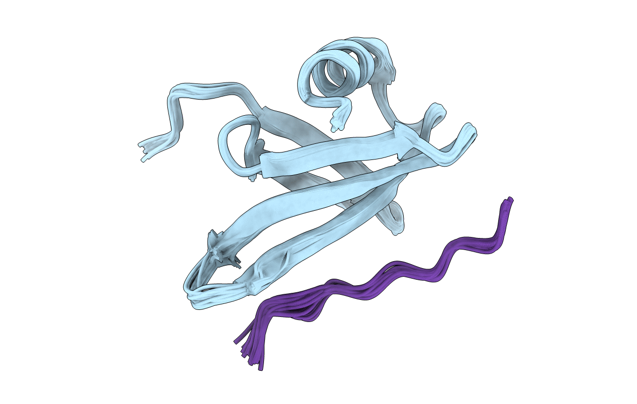 7C1M image
