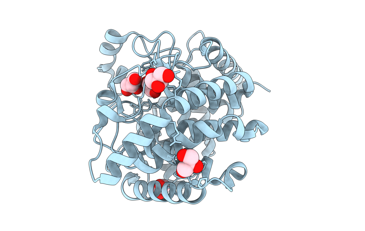 7C24 image
