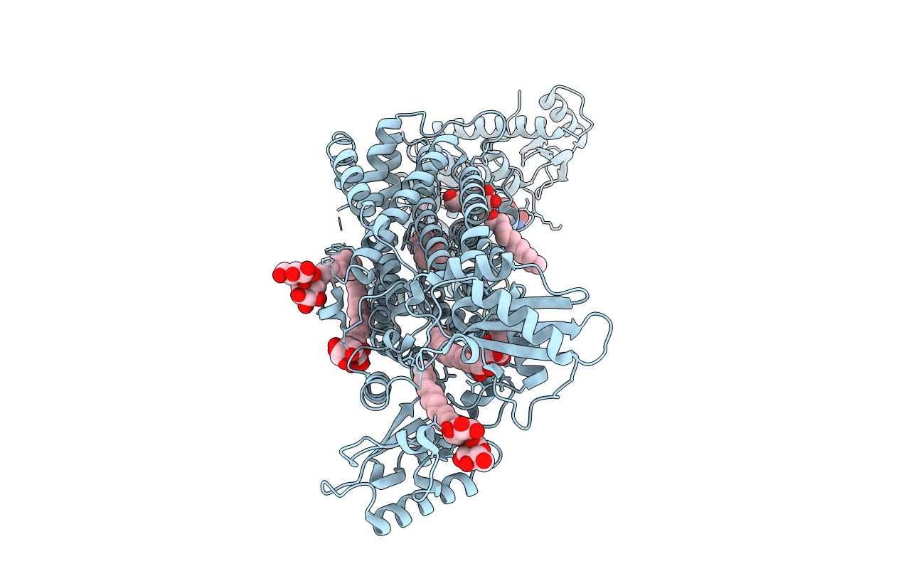 7C2N image