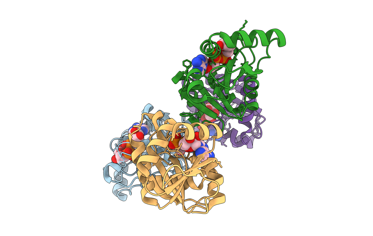 7C33 image