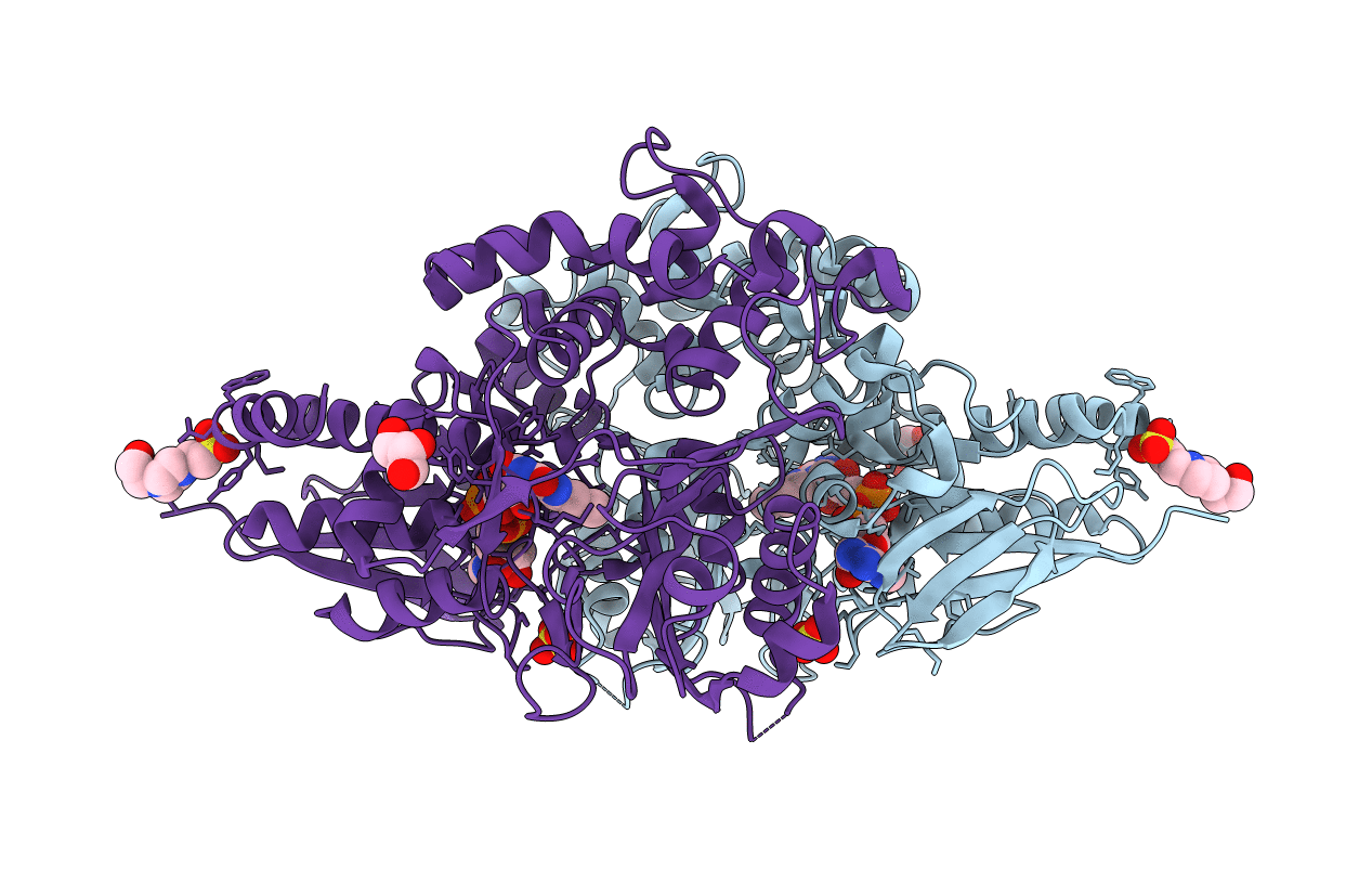7C3I image