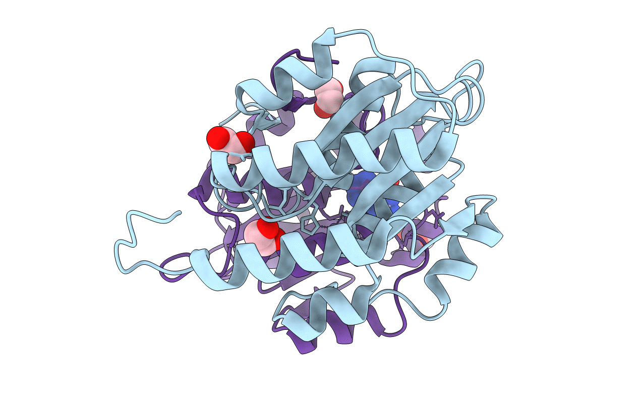 7C3S image