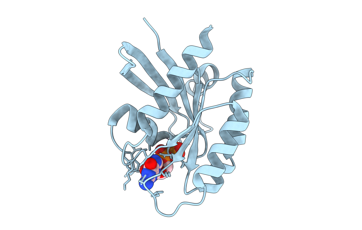 7C40 image