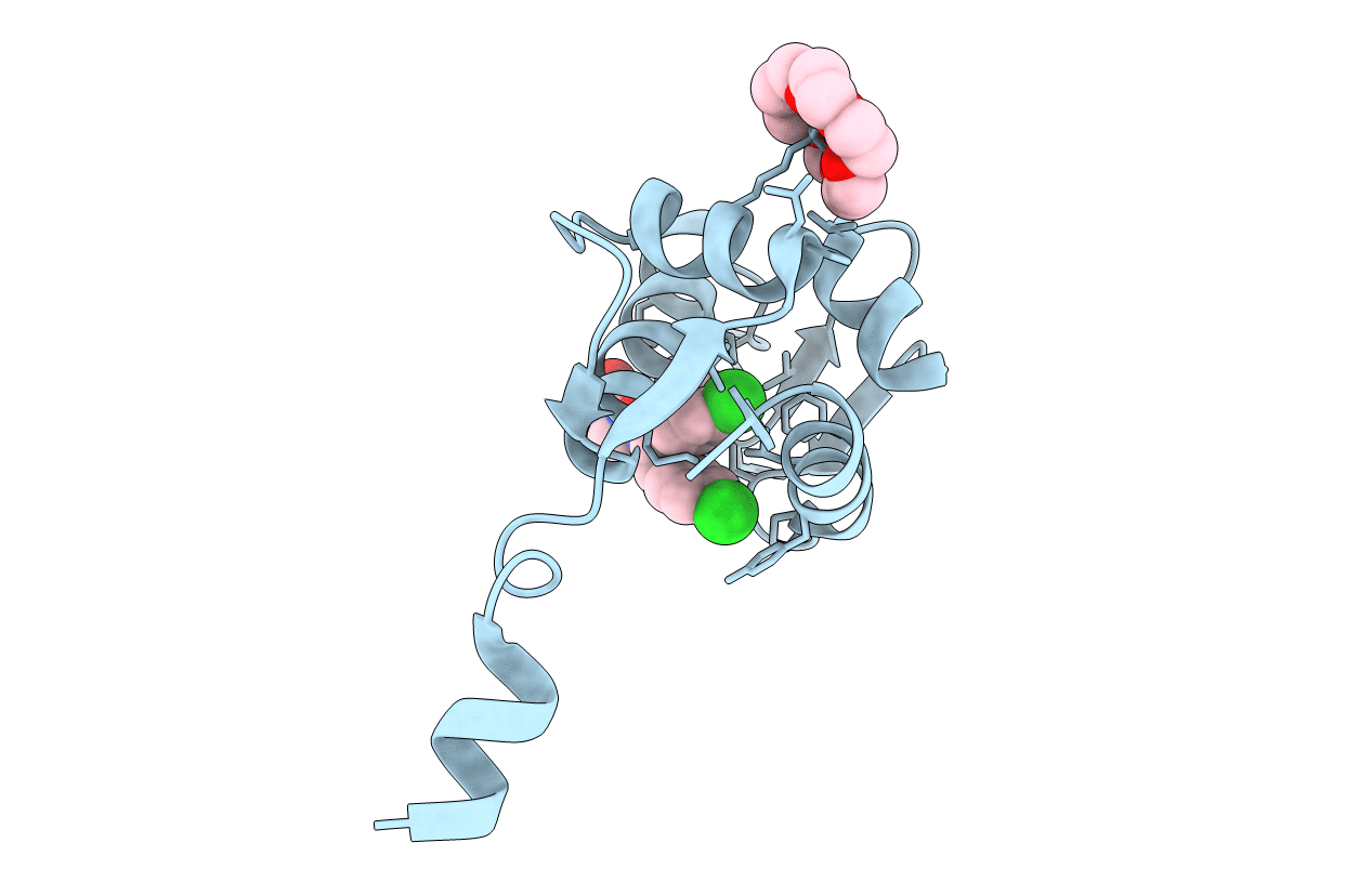 7C44 image